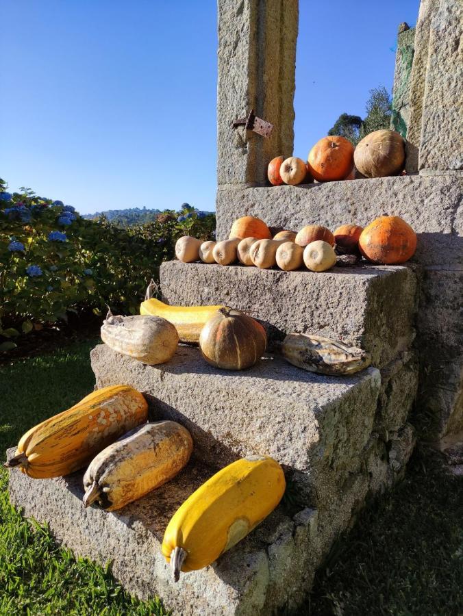 فيلا Casa Da Mata باريديس دي كورا المظهر الخارجي الصورة
